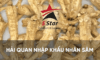 Thủ tục khai báo hải quan nhân sâm uy tín tại 5startrans