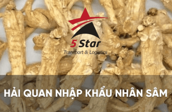 Thủ tục khai báo hải quan nhân sâm uy tín tại 5startrans