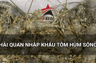 Dịch Vụ Khai Báo Hải Quan Tôm Hùm Sống nhập khẩu