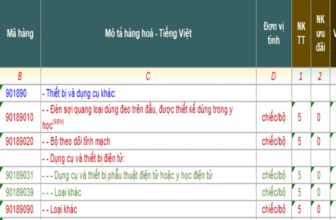 Banner một số mã HS dành cho máy soi da xuất nhập khẩu