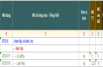 Banner một số mã HS dành cho hành tây xuất nhập khẩu