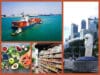 Khai báo hải quan hàng nhập khẩu Singapore