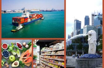 Khai báo hải quan hàng nhập khẩu Singapore