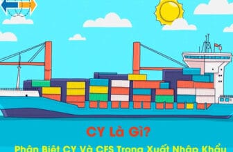 CY là gì