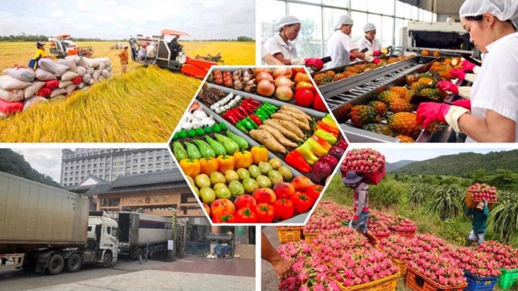 HẠN NGẠCH LÀ GÌ TRONG XUẤT NHẬP KHẨU? 4 Hạn ngạch là gì 1