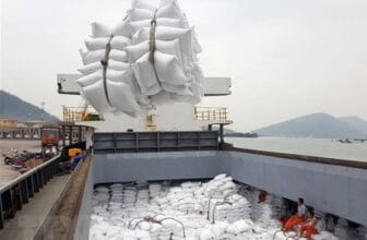 Thủ tục xuất khẩu gạo
