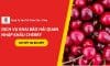 Dịch vụ khai báo hải quan nhập khẩu cherry