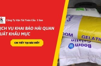 Dịch vụ khai báo hải quan nhập khẩu gelatin thực phẩm
