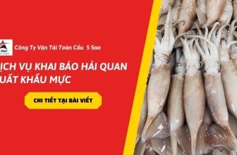 Dịch vụ khai báo hải quan xuất khẩu mực