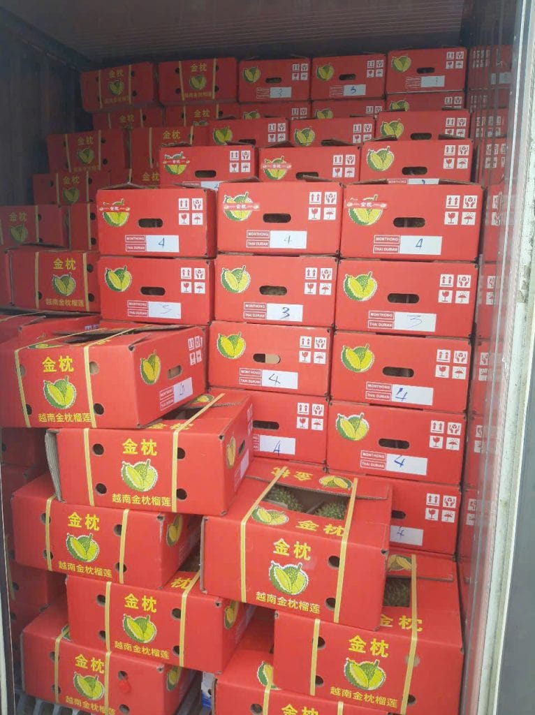 5Startrans hoàn thành dịch vụ khai báo hải quan xuất khẩu nông sản sầu riêng đầu năm 2026