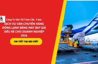 Dịch vụ vận chuyển hàng đông lạnh bằng máy bay