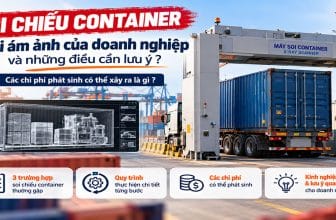 Soi chiếu container trong năm 2026