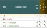 THỦ TỤC XUẤT NHẬP KHẨU BÀN NÂNG