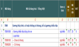 THỦ TỤC XUẤT NHẬP KHẨU GƯƠNG SOI