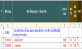 THỦ TỤC XUẤT NHẬP KHẨU NỒI CHIÊN KHÔNG DẦU