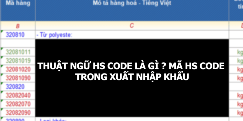 Thuật Ngữ HS Code Là Gì? Tác Dụng Của Mã HS Code Trong Xuất Nhập Khẩu