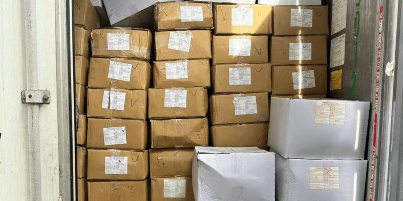 Dịch Vụ Khai Báo Hải Quan Nhập Khẩu Chuột Máy Tính