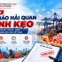 10 Công Ty Khai Thuê Hải Quan Tham Khảo Cho Doanh Nghiệp: Tiêu Chí Lựa Chọn Và So Sánh