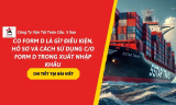 CO Form D Là Gì? Điều Kiện, Hồ Sơ Và Cách Sử Dụng C/O Form D Trong Xuất Nhập Khẩu