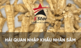 #1 Thủ Tục Khai Báo Hải Quan Nhân Sâm Nhập Khẩu