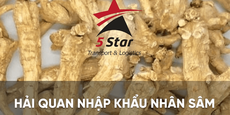 #1 Thủ Tục Khai Báo Hải Quan Nhân Sâm Nhập Khẩu