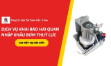 Dịch Vụ Khai Báo Hải Quan Nhập Khẩu Bơm Thuỷ Lực Chuyên Nghiệp