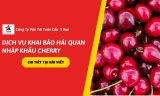 Dịch Vụ Khai Báo Hải Quan Nhập Khẩu Cherry Chuyên Nghiệp, Đúng Quy Định ( 2026)
