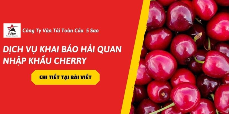Dịch Vụ Khai Báo Hải Quan Nhập Khẩu Cherry Chuyên Nghiệp, Đúng Quy Định ( 2026)