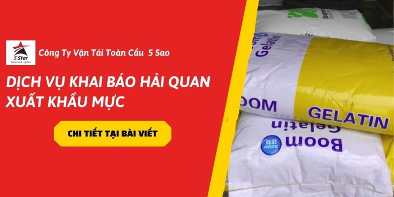 Dịch Vụ Khai Báo Hải Quan Nhập Khẩu Gelatin Thực Phẩm: Hướng Dẫn Chi Tiết 2026