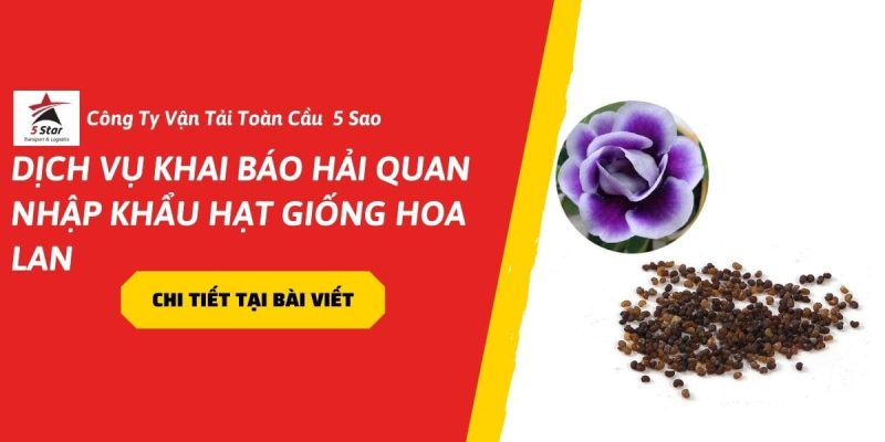 Dịch Vụ Khai Báo Hải Quan Nhập Khẩu Hạt Giống Hoa Lan- An Toàn, Đúng Quy Định ( 2026)