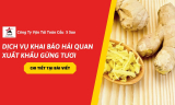 Dịch Vụ Khai Báo Hải Quan Xuất Khẩu Gừng Tươi – UPDATE MỚI 2026