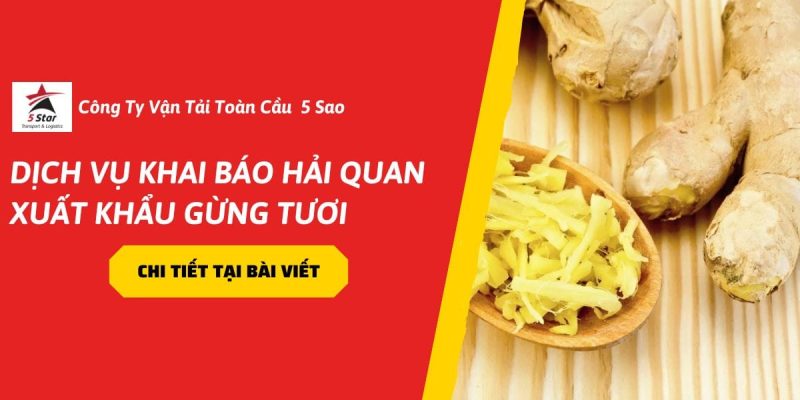 Dịch Vụ Khai Báo Hải Quan Xuất Khẩu Gừng Tươi – UPDATE MỚI 2026