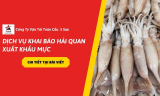 Dịch Vụ Khai Báo Hải Quan Xuất Khẩu Mực: Quy Định & Thủ Tục Mới Nhất 2026