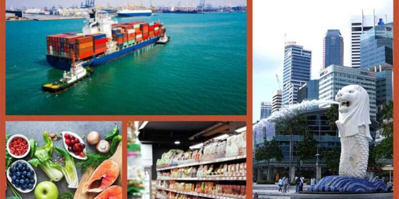 THỦ TỤC KHAI BÁO HẢI QUAN HÀNG NHẬP KHẨU SINGAPORE