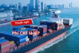 PHÍ CAF LÀ GÌ? CÁCH TÍNH PHÍ CAF MỚI NHẤT