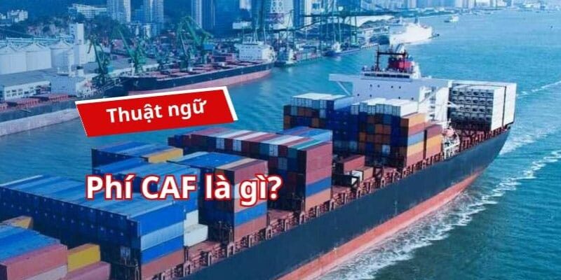 PHÍ CAF LÀ GÌ? CÁCH TÍNH PHÍ CAF MỚI NHẤT
