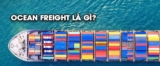 PHÍ O/F LÀ GÌ? CÁCH TÍNH PHÍ O/F TRONG VẬN CHUYỂN ĐƯỜNG BIỂN