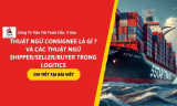 Thuật Ngữ Consignee là gì ? Phân Biệt Consignee – Shipper – Seller – Buyer Trong Logistics