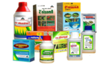 #NEW Dịch Vụ Khai Báo Hải Quan Thuốc Bảo Vệ Thực Vật Nhập Khẩu