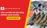 Dịch Vụ Vận Chuyển Hải Sản Bằng Đường Hàng Không Nhanh Chóng Trong Năm 2026