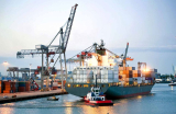Dịch Vụ Vận Chuyển Hàng Container Đường Biển Đi Nga ( Russia)