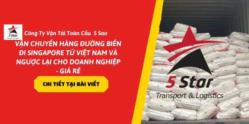Vận Chuyển Hàng Đường Biển Đi Singapore Từ Việt Nam Và Ngược Lại Cho Doanh Nghiệp – Giá Rẻ