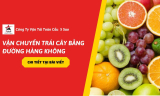 Vận Chuyển Trái Cây Bằng Đường Hàng Không An Toàn và Chuyên Nghiệp Trong Năm 2026
