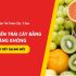 Vận Chuyển Hàng Điện Tử Bằng Đường Hàng Không – Giải Pháp Tối Ưu Chi Phí Cho Doanh Nghiệp Trong Năm 2026
